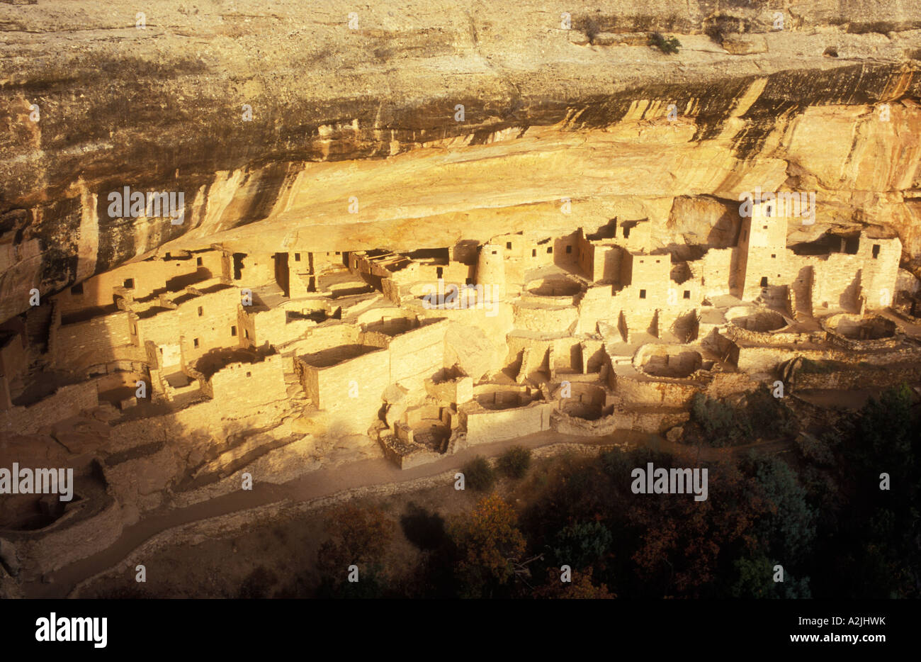 USA Colorado Mesa Verde National Park Cliff Palace Cliff dwellings de l'Anasazi A D 1200 Banque D'Images