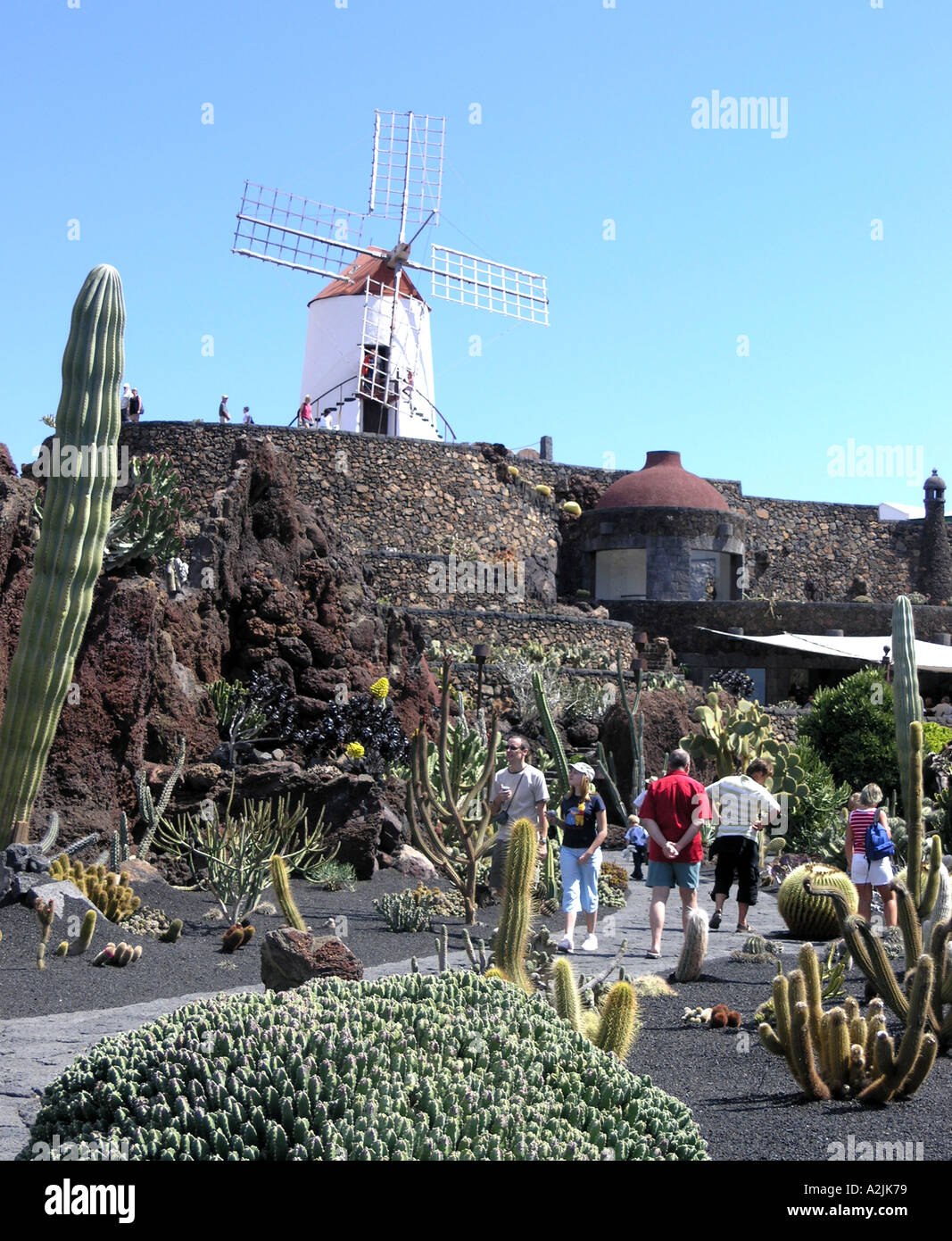 Jardin de cactus à Lanzarote conçu par Cesar Manrique un artiste espagnol Banque D'Images