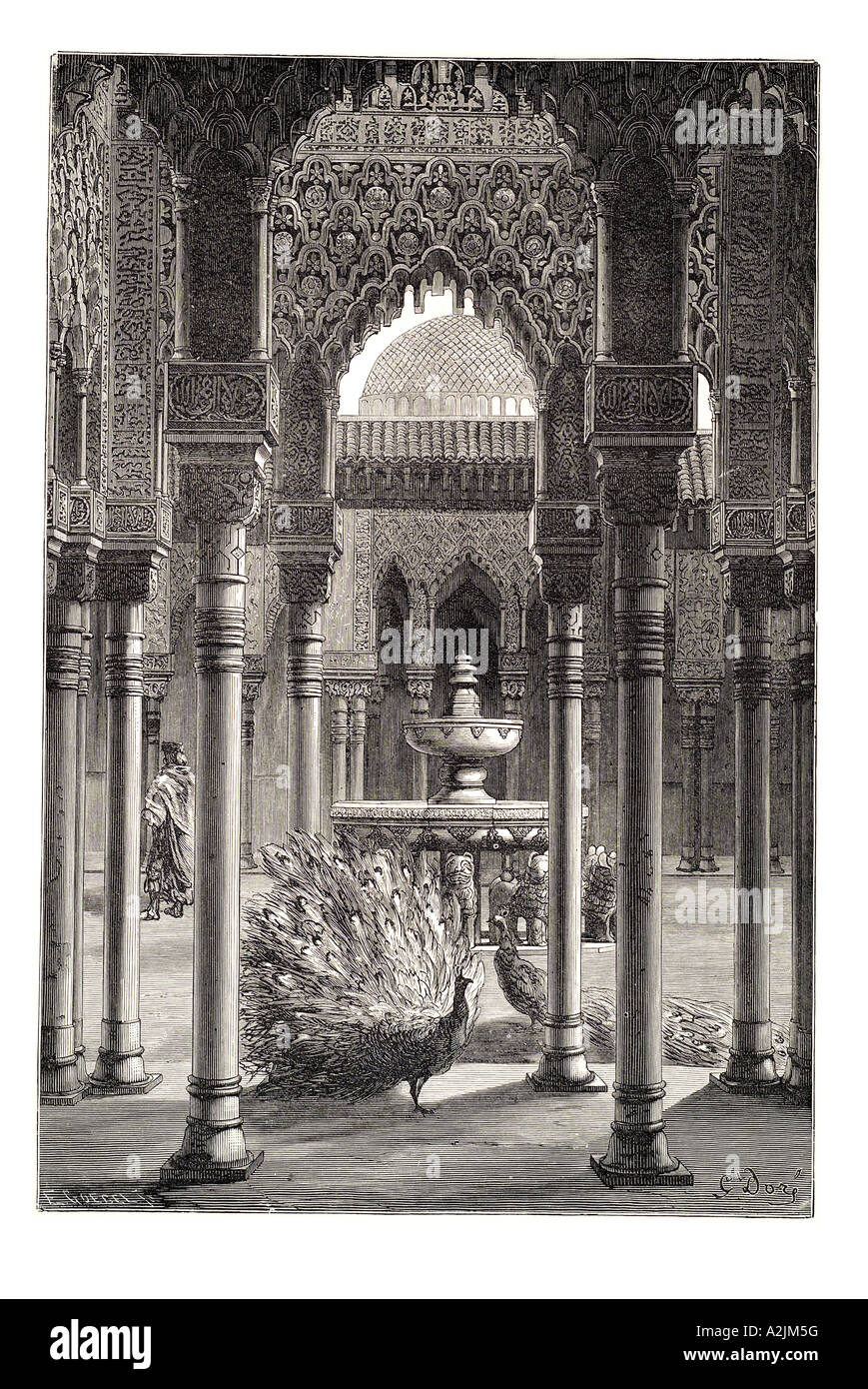 Espagne Espana Espagnol Espagna andalousie andalousie Alhambra Granada l'islam la fontaine mauresque peacock Patio de los Leones Banque D'Images