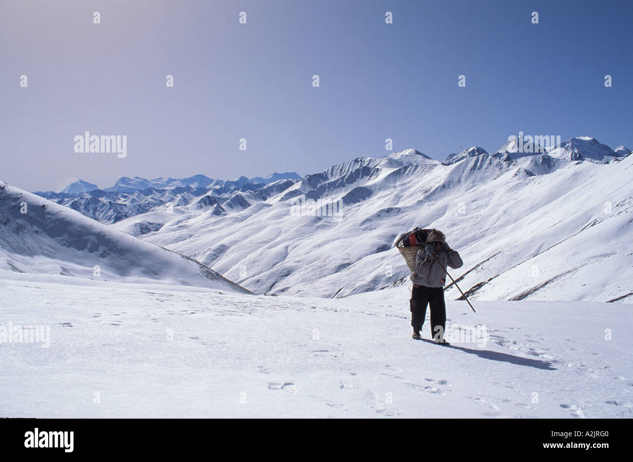 Porter le transport des fournitures sur le Dolpo. Banque D'Images