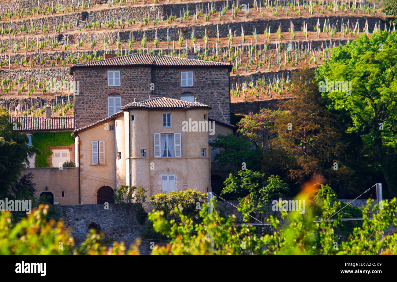 Le Château Grillet, qui a sa propre appellation proche de Condrieu avec son vignoble derrière. Château Grillet, Verin, Rhône, France, Europe Banque D'Images