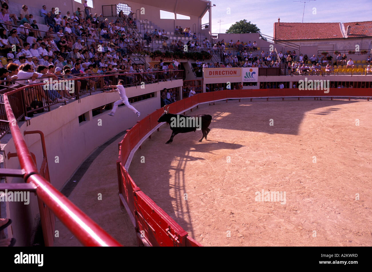 Europe, France, Languedoc, TUI Arena, course Camarguaise Banque D'Images