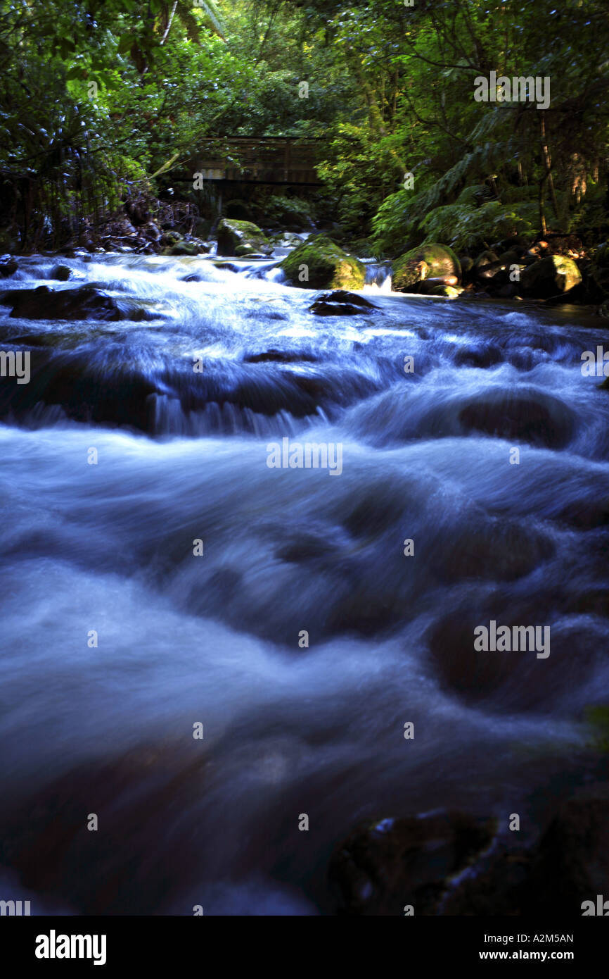 Flux de données Banque D'Images