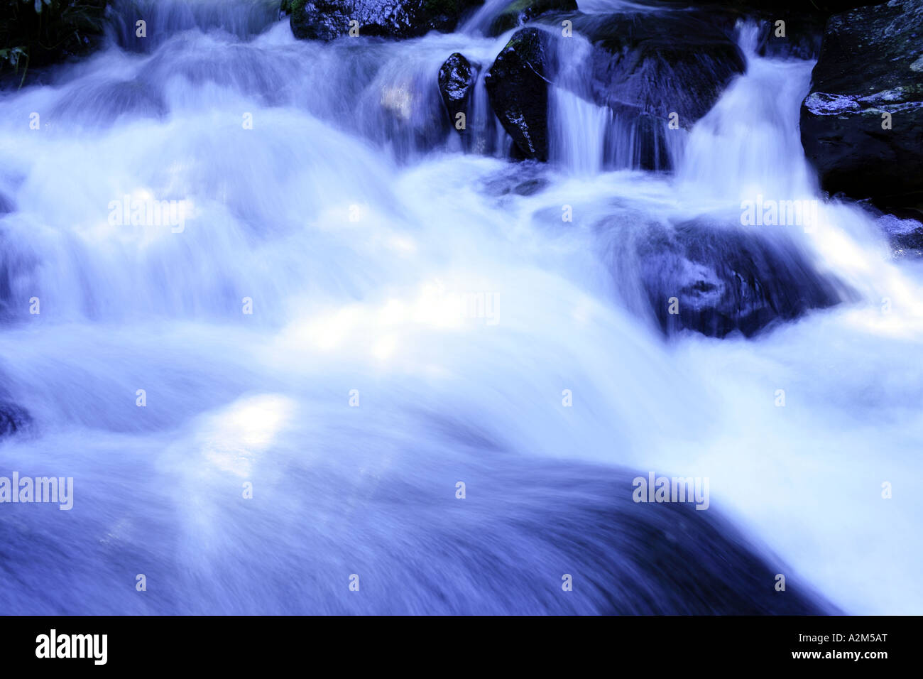 Ruisseau de montagne cool Banque D'Images