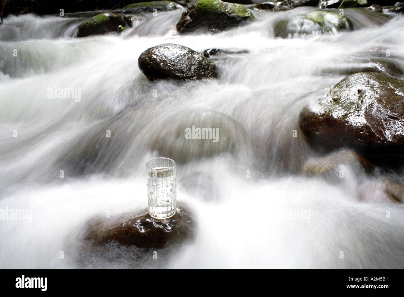 Verre de l'eau debout sur un rocher dans un ruisseau de montagne Banque D'Images