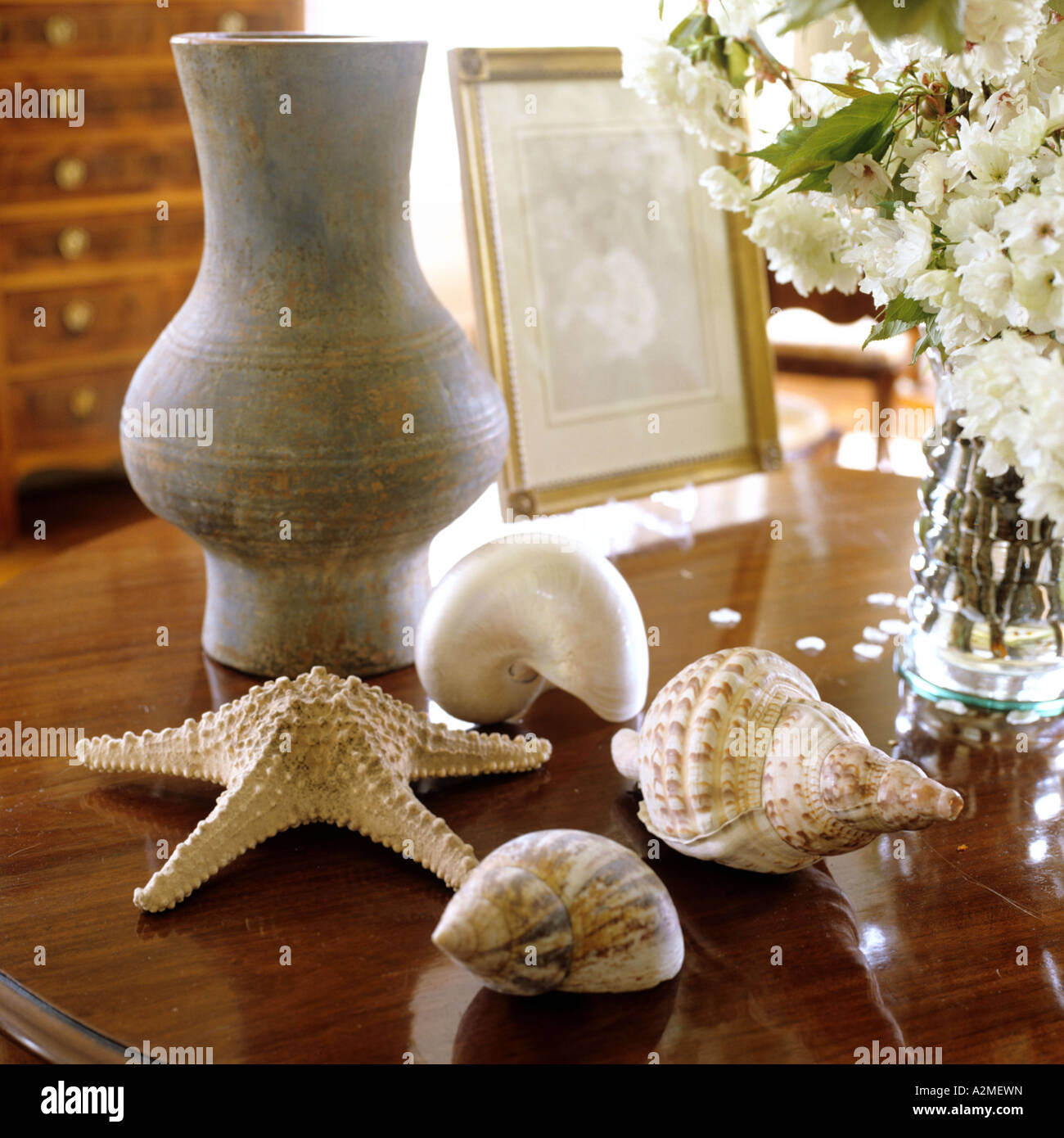 Les coquillages et le vase sur la table en bois Banque D'Images