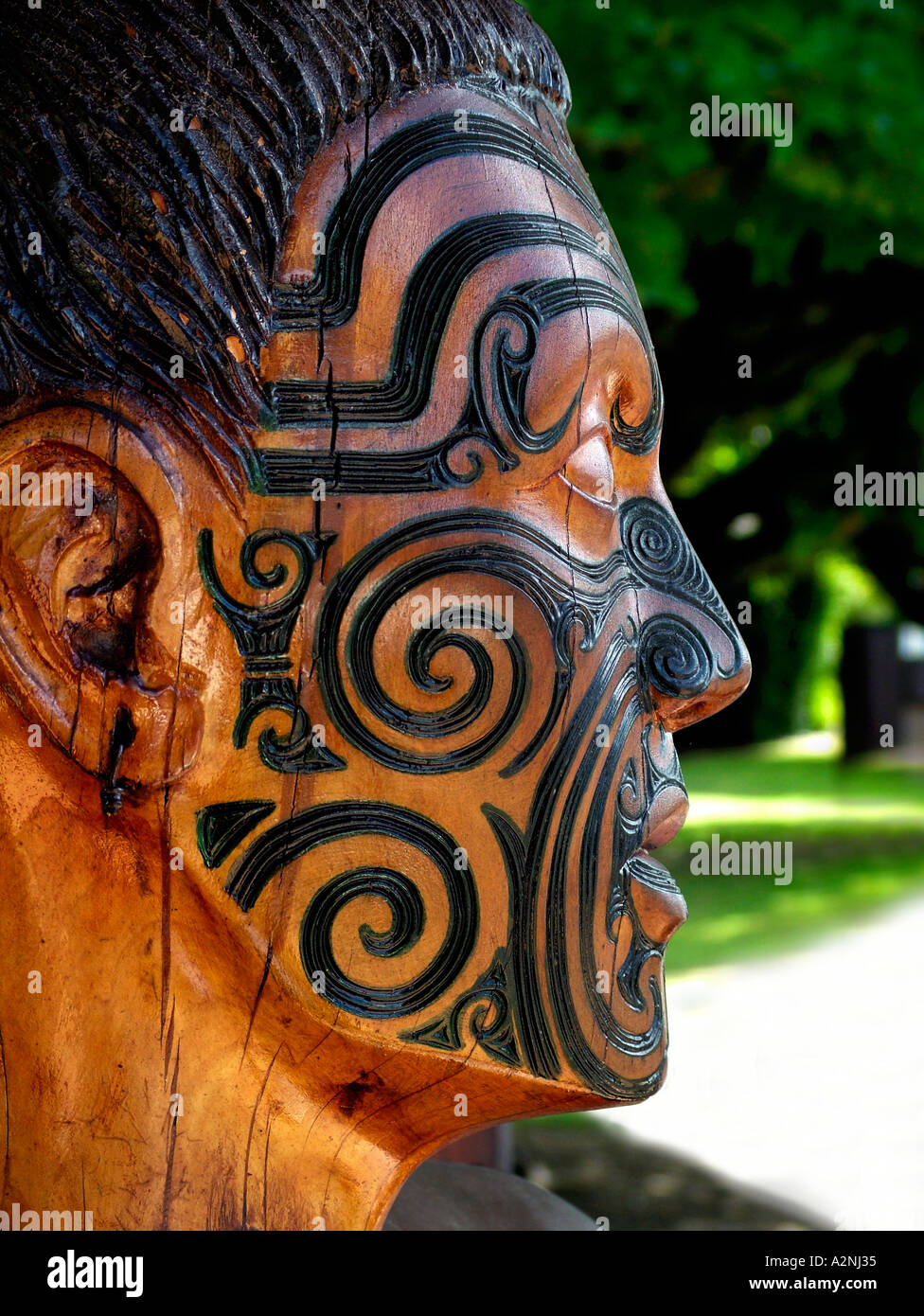 La sculpture sur bois de Maoris warrier avec tatouage facial traditionnel moko Île du Nord Nouvelle-zélande Banque D'Images