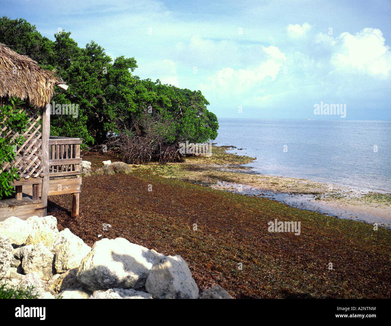 Un quartier calme Locations de coin de Key Largo sur le détroit de Floride Banque D'Images