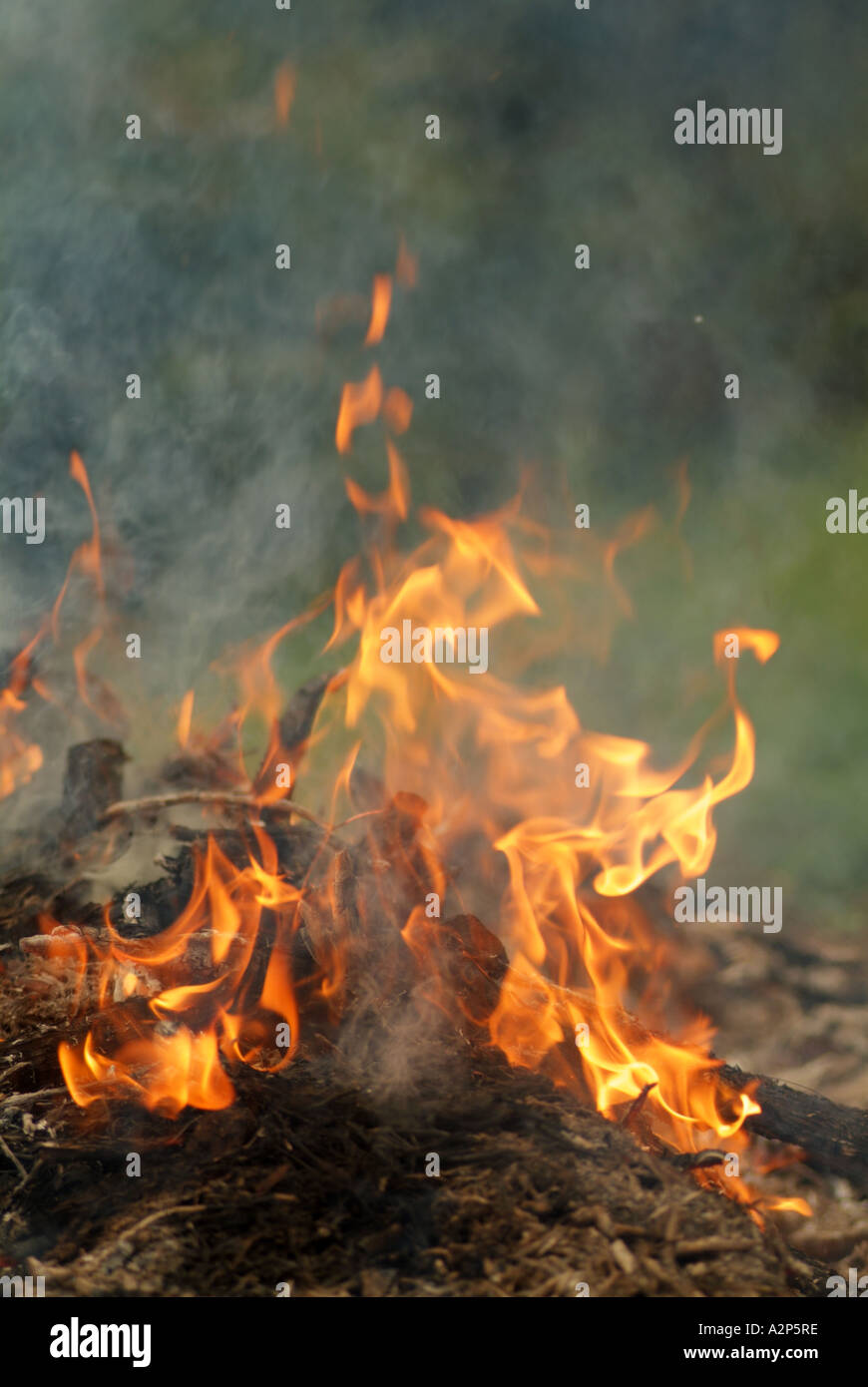 La fumée et des flammes et des braises de charbon de bois brûlé un feu et Banque D'Images