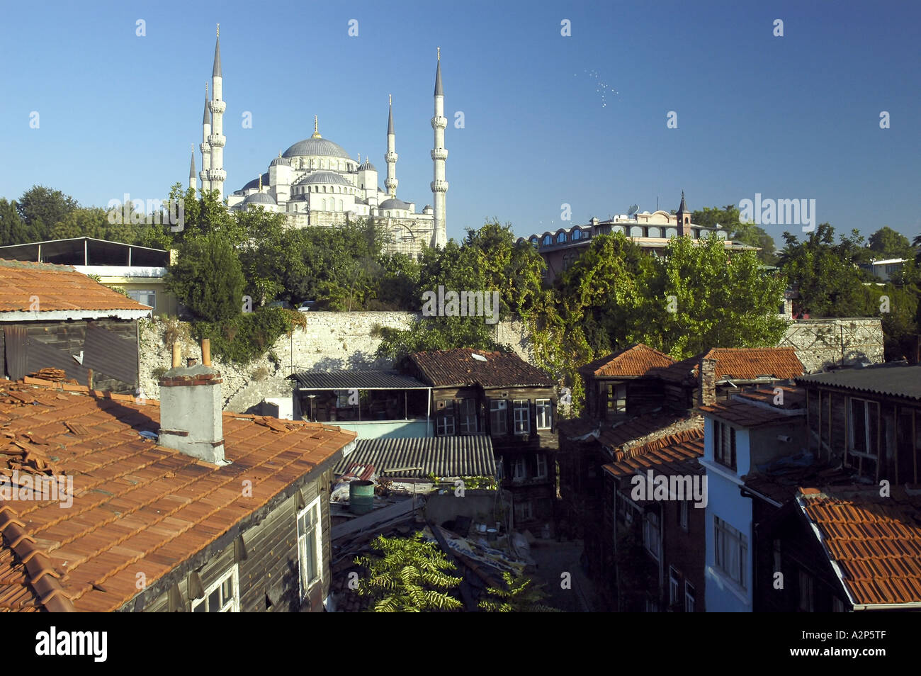 La mosquée bleue à exécuter sur les maisons Istanbul Turquie Banque D'Images