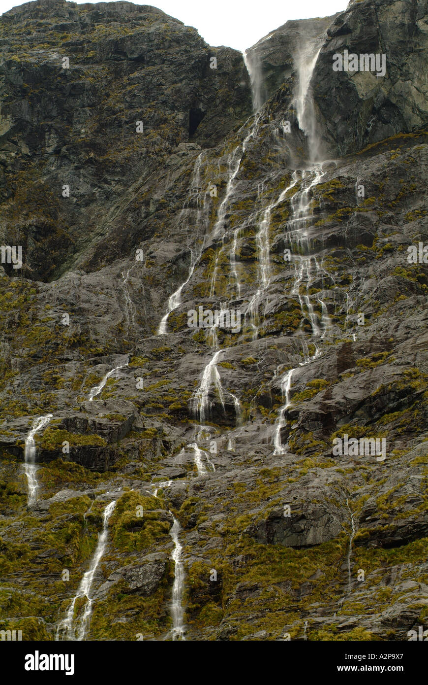 Les chutes d'en bas des falaises, Fiordlands Nouvelle-zélande Banque D'Images