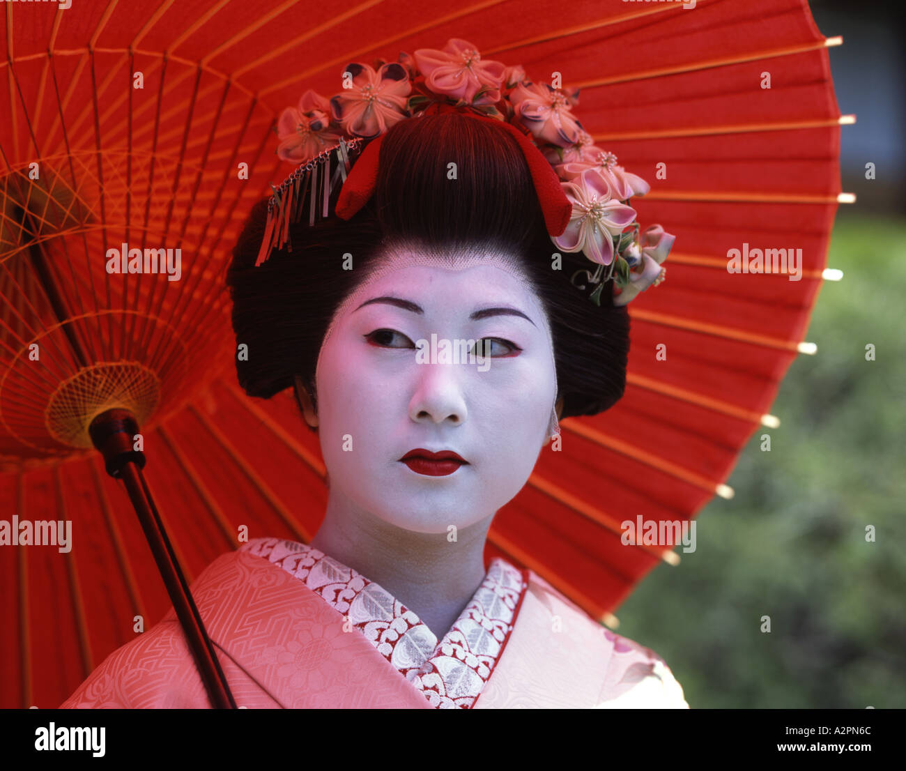 Fille de Geisha maiko stagiaire costume au jardin japonais de Kyoto Gion portant perruque obi kimono parasol makeup Banque D'Images