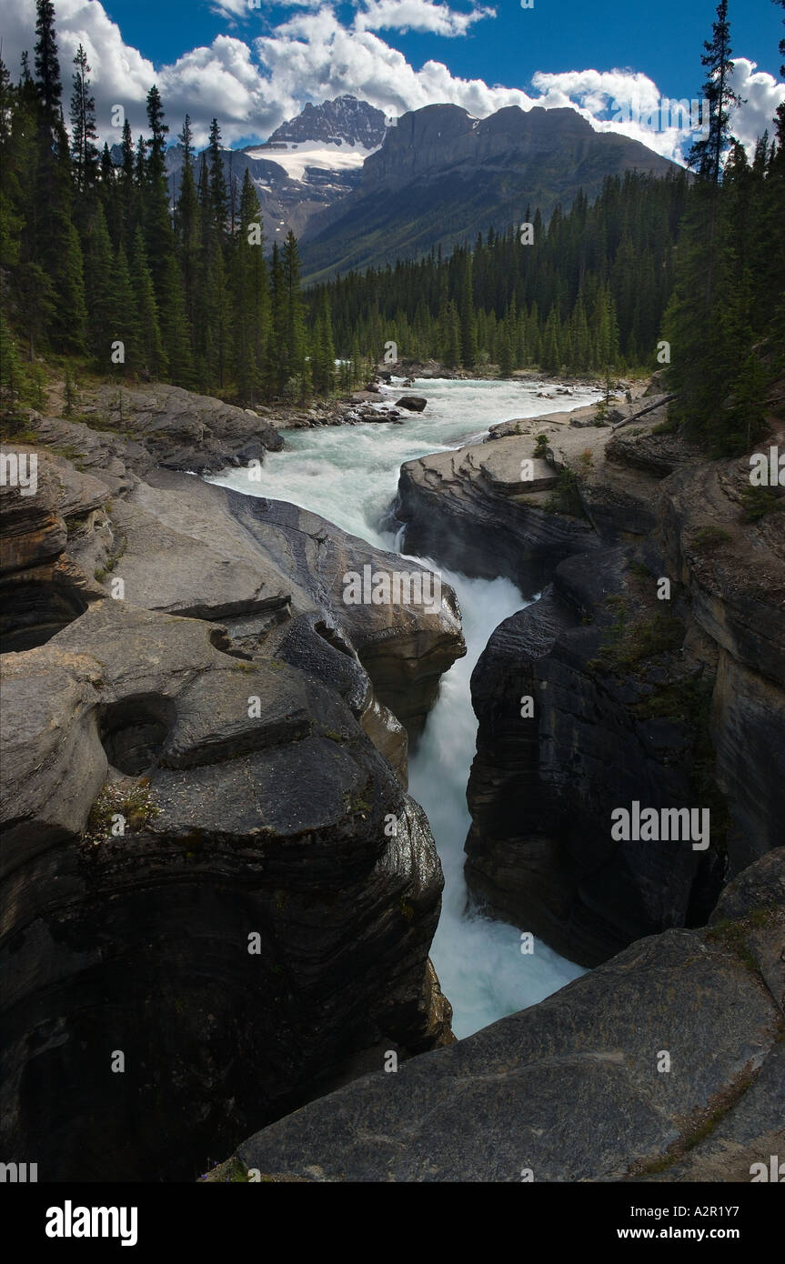 La fonte des glaciers en mont Sarbach creek canyon Mistaya, Banff National Park Alberta Canada Banque D'Images