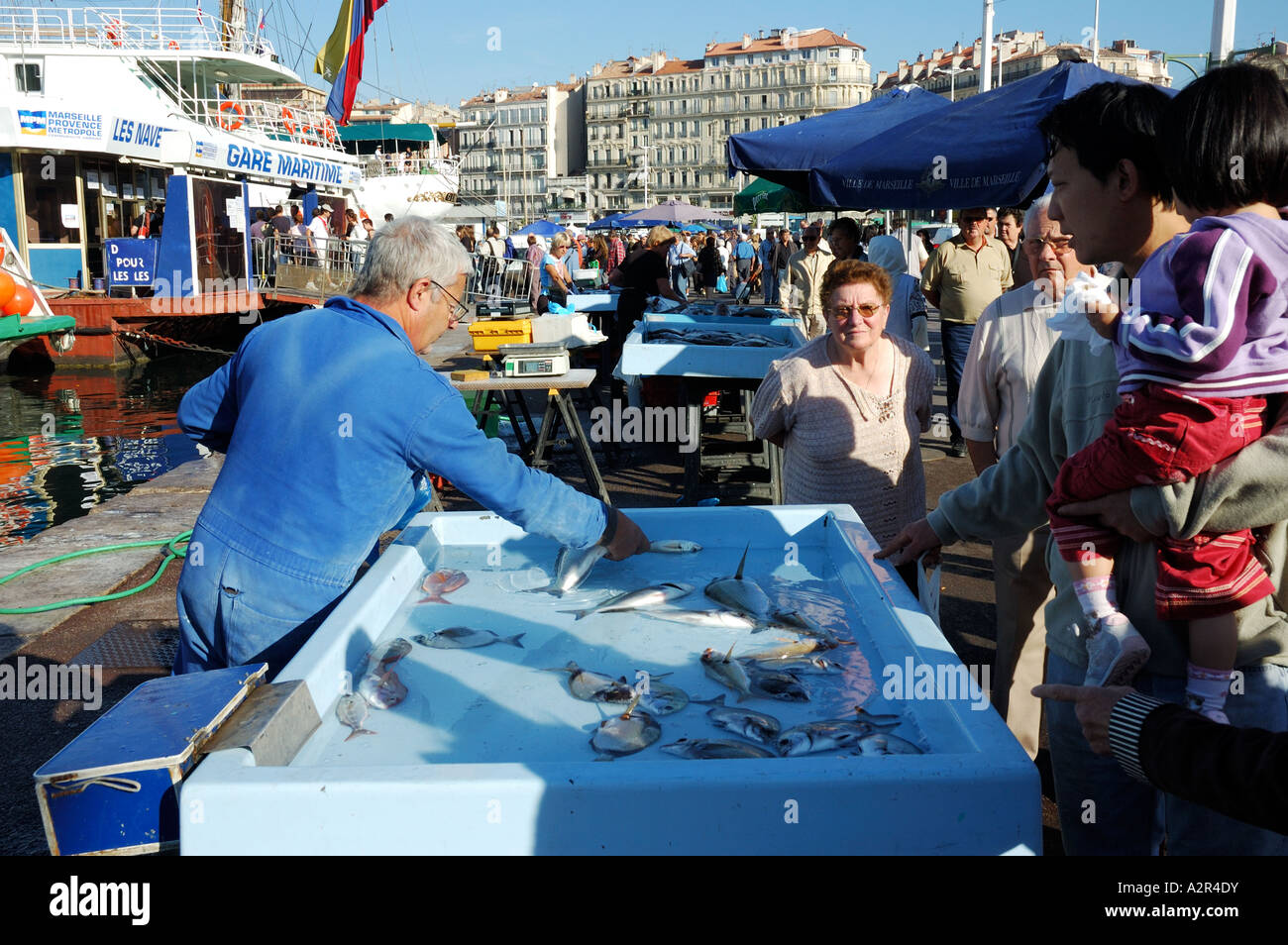 Un poissonnier mâle de haut niveau qui vend des fruits de mer sur le marché aux poissons du vieux port, le vieux port, Marseille, France Banque D'Images