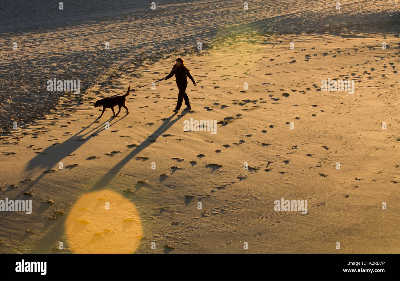 Femme promener son chien sur la plage Marina Del Rey Los Angeles County Banque D'Images