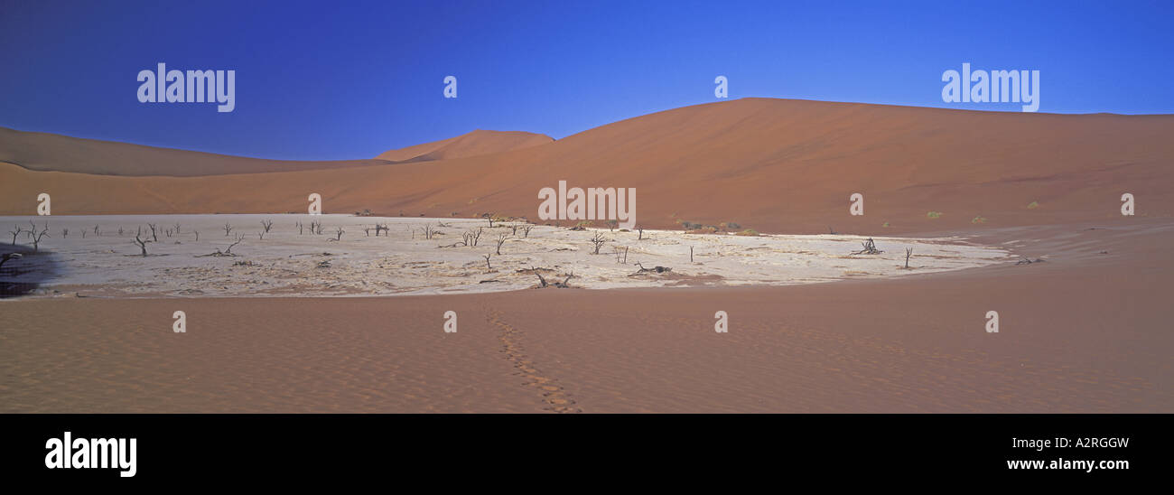 La Namibie Afrique Dead Vlei près de la vallée de la rivière Tsauchab Sossus Vlei Namib Desert Banque D'Images