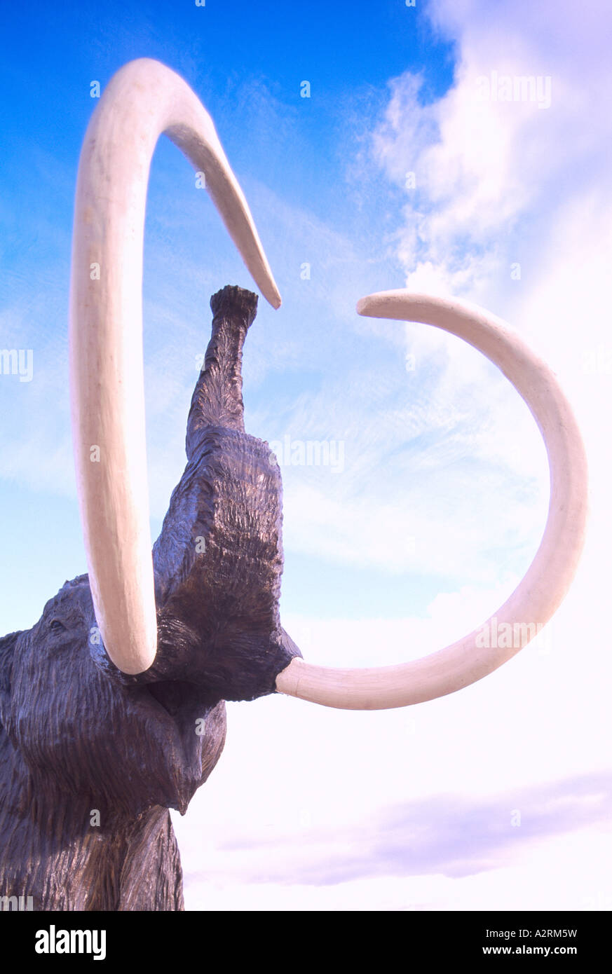 Le mammouth laineux (Mammuthus primigenius) Statue du Beringia Interpretive Centre, Whitehorse, Territoire du Yukon, Canada Banque D'Images