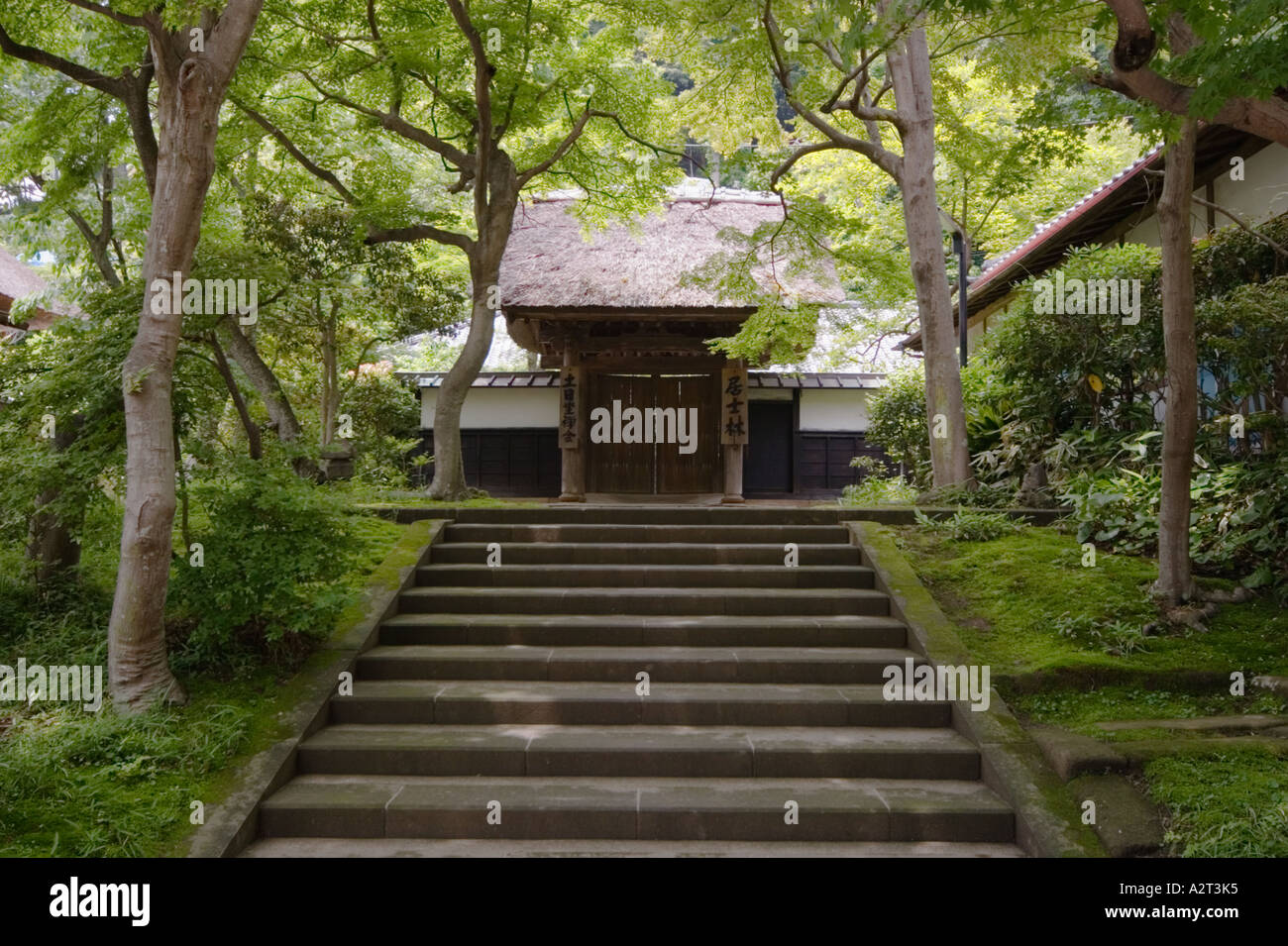 Escalier à l'Engaku-ji à Kita-Kamakura, Japon Banque D'Images