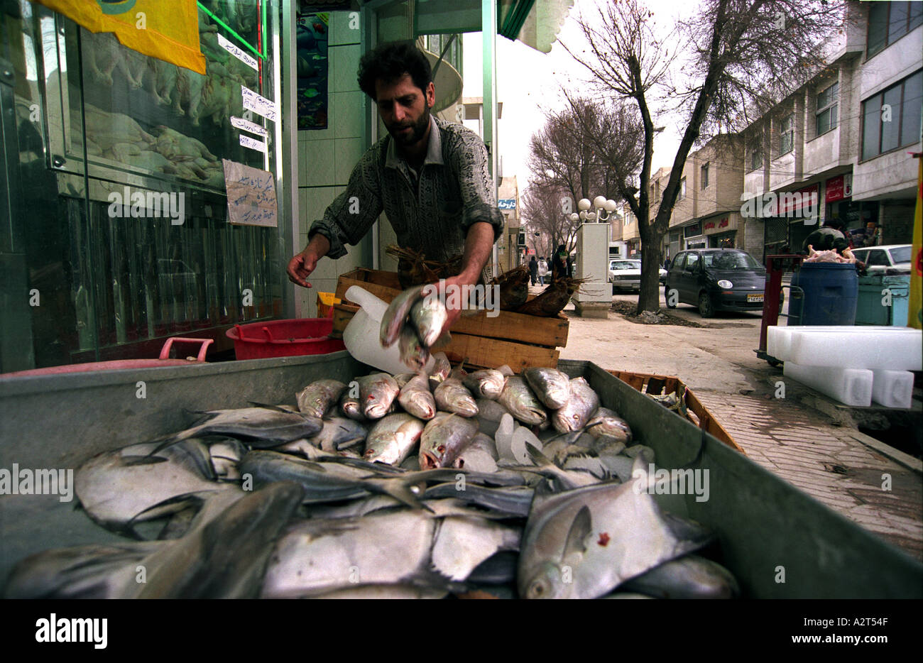 Vendeur de poisson Banque D'Images