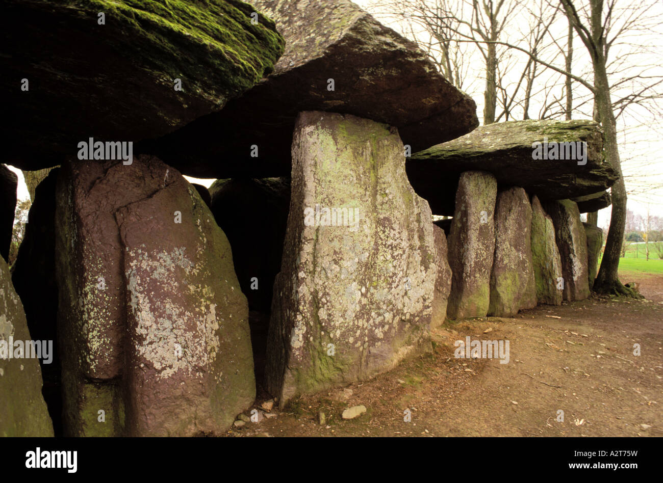 France Ille et Vilaine la Roche aux Fées Fairies Rock Banque D'Images