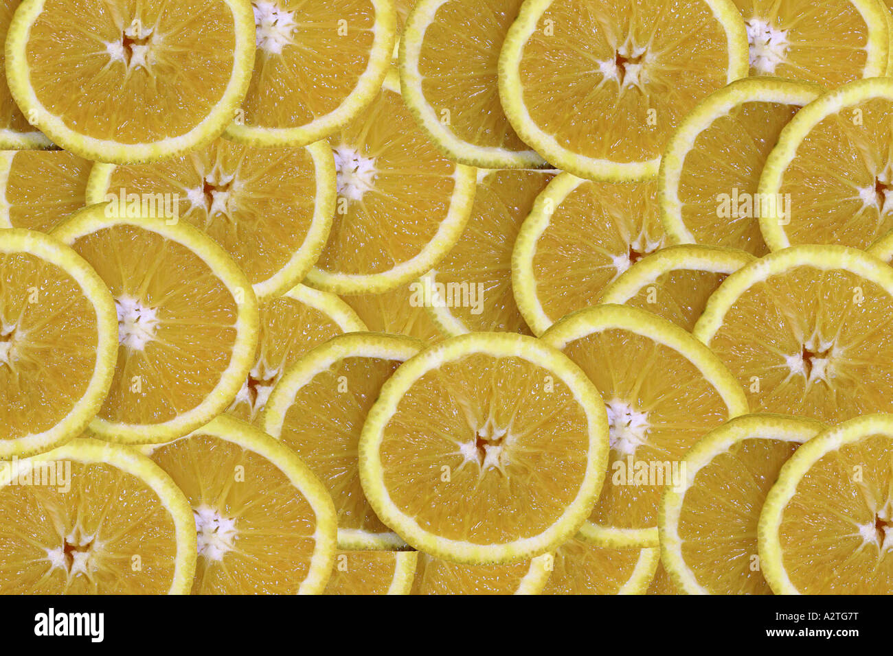 Orange (Citrus sinensis), les tranches d'orange Banque D'Images