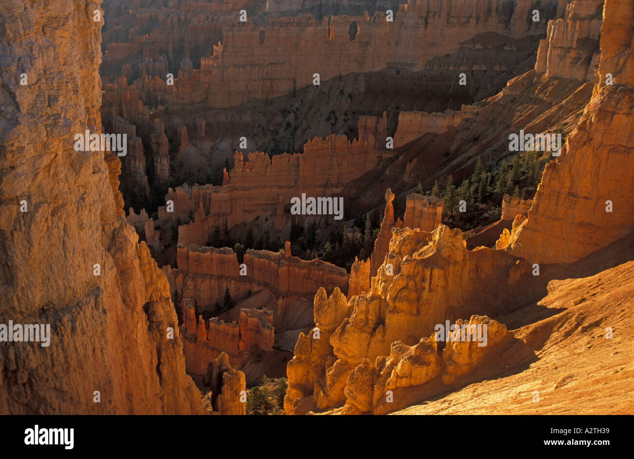 Hoodoo grès Amphithéâtre de Bryce Canyon Utah USA United States of America Banque D'Images