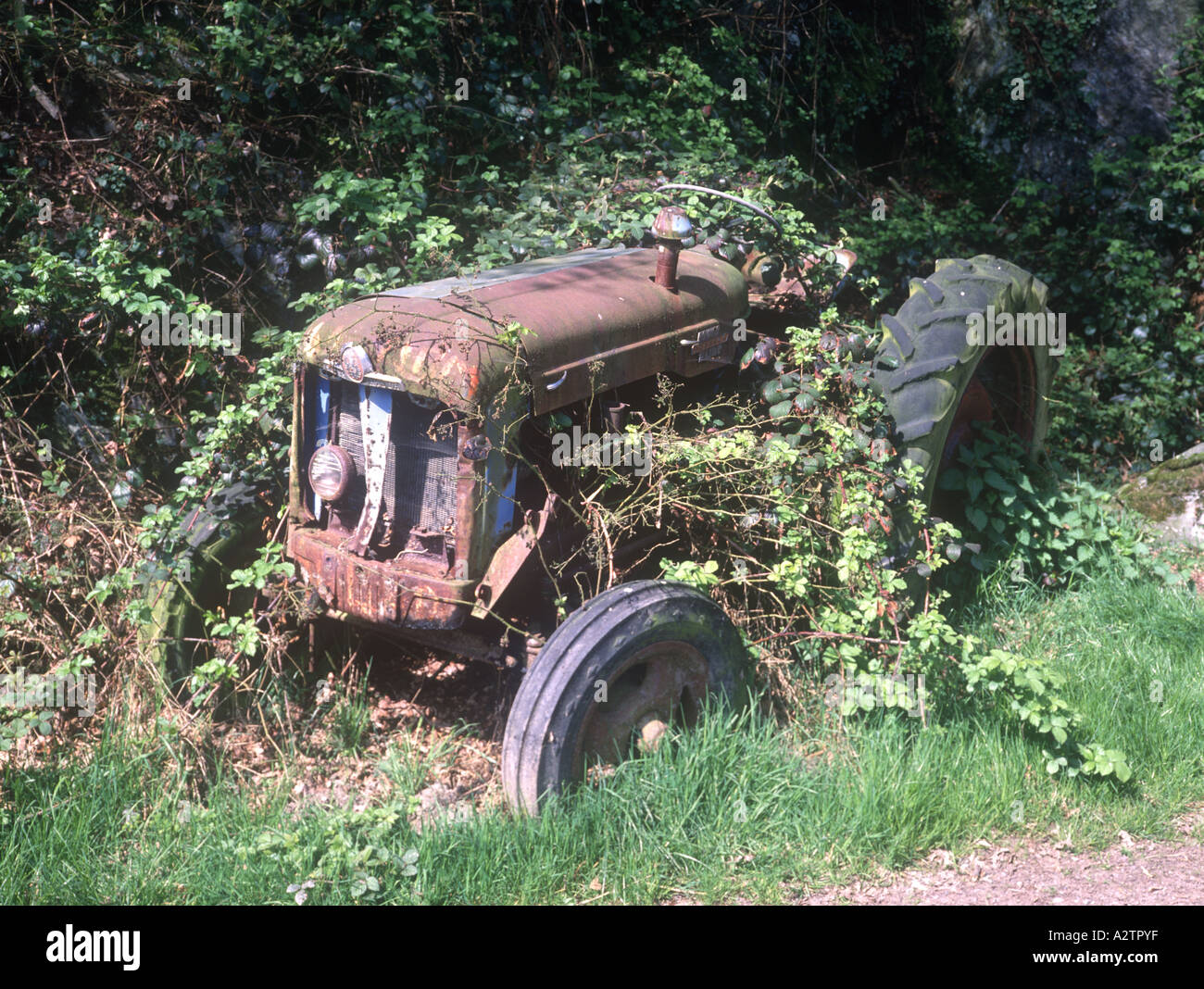 Vieux tracteur près de Maerdy North East Wales Banque D'Images