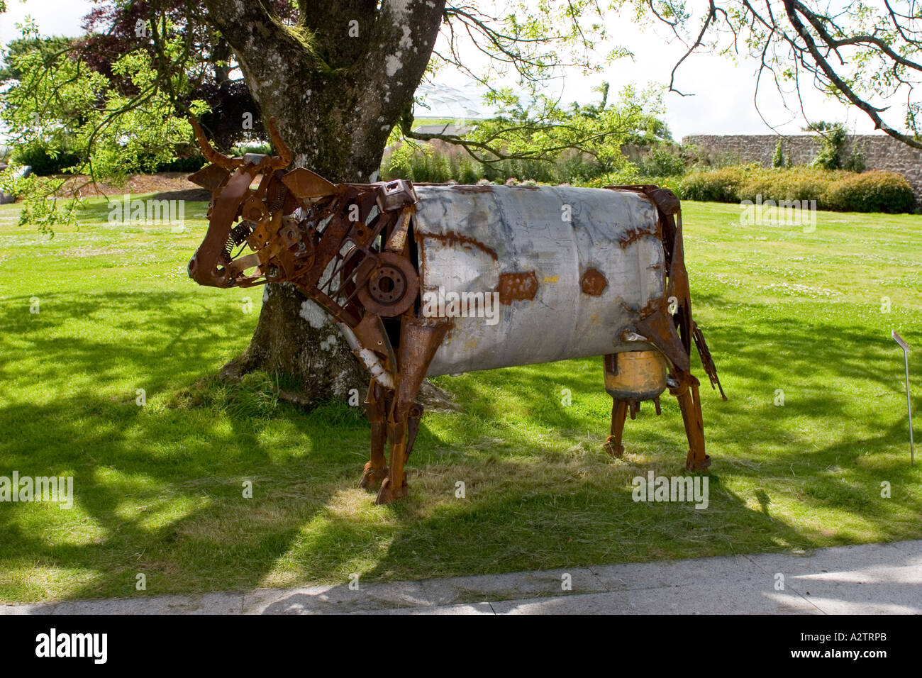 Metal cow Banque de photographies et d'images à haute résolution - Alamy