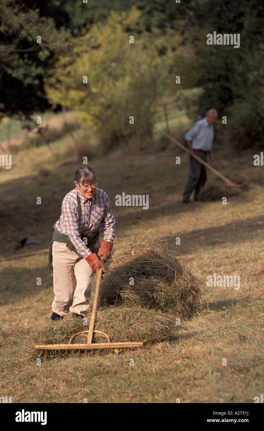 Les volontaires font de fiducie de la faune du foin, banques de fraises Gloucestershire Wildlife Trust Nature Reserve, Gloucestershire, Royaume-Uni Banque D'Images