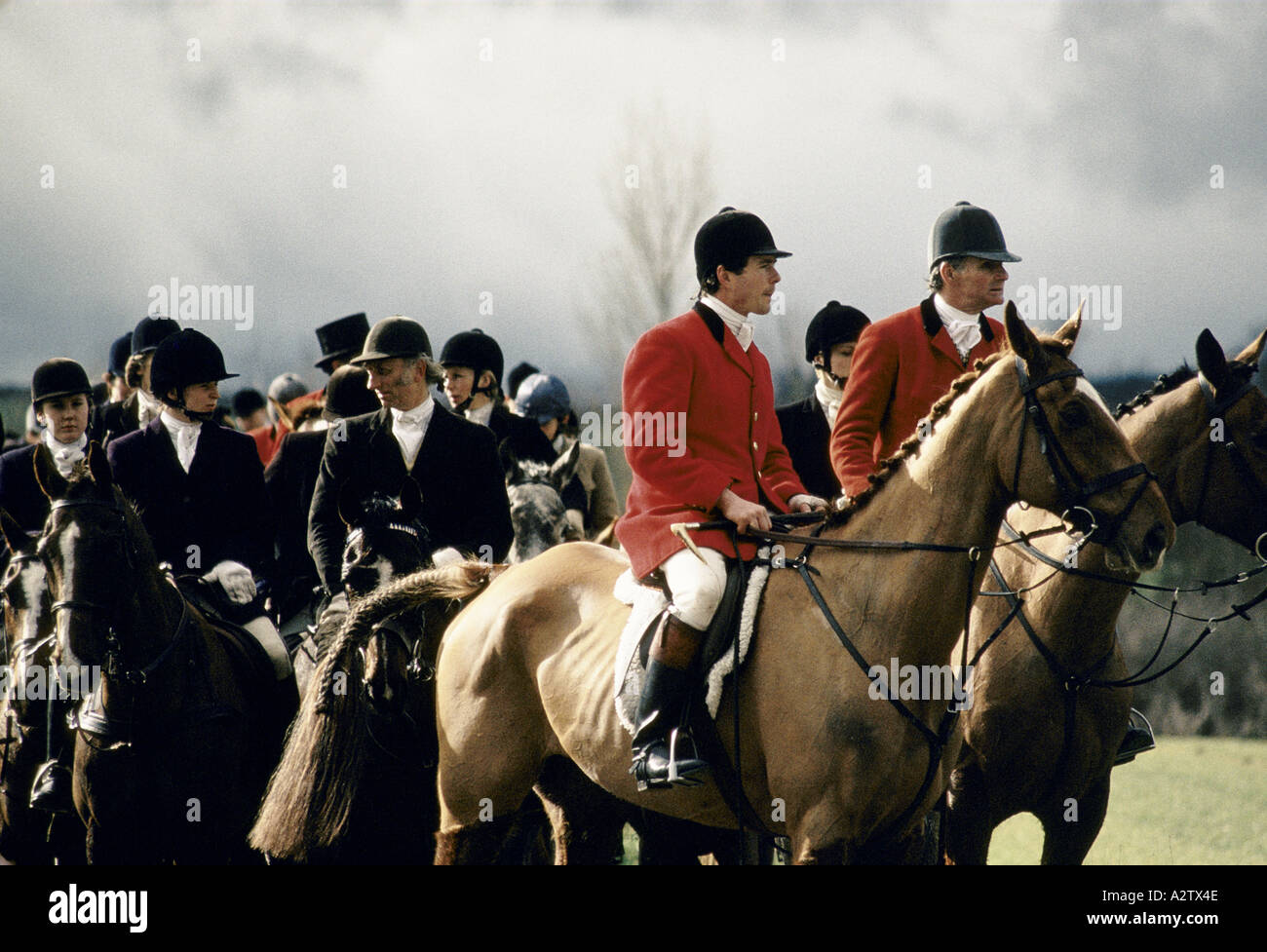 Chasseurs à cheval monté huntswomen la chasse au renard warwickshire Banque D'Images
