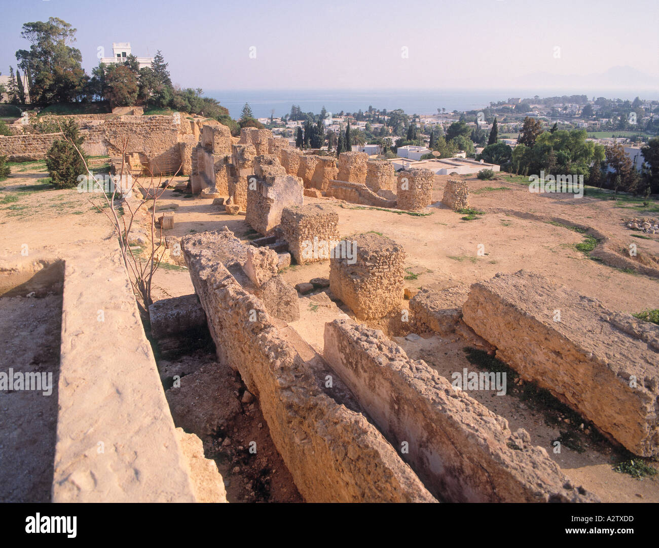 Ruines de Carthage tunisie Banque D'Images