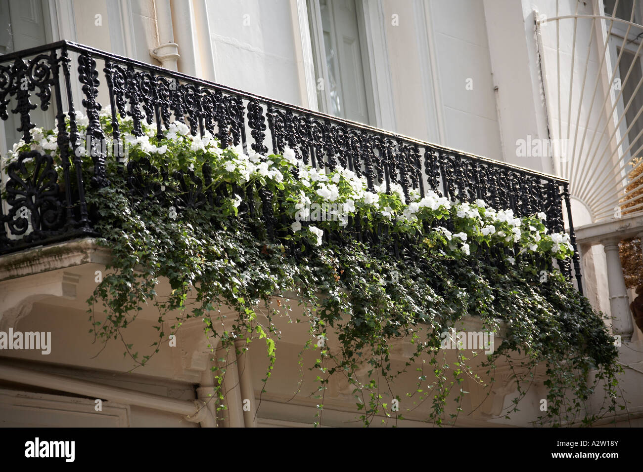 Fleurs blanches suspendues sur un balcon de Wilton Crescent à Belgravia  London SW1 Angleterre Photo Stock - Alamy