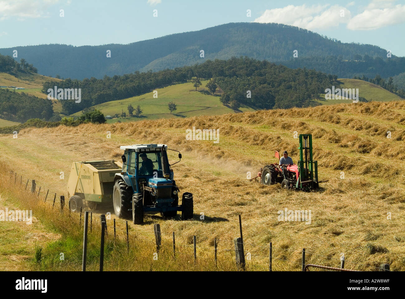 Le fauchage du foin dans la vallée Huon Tasmanie Banque D'Images
