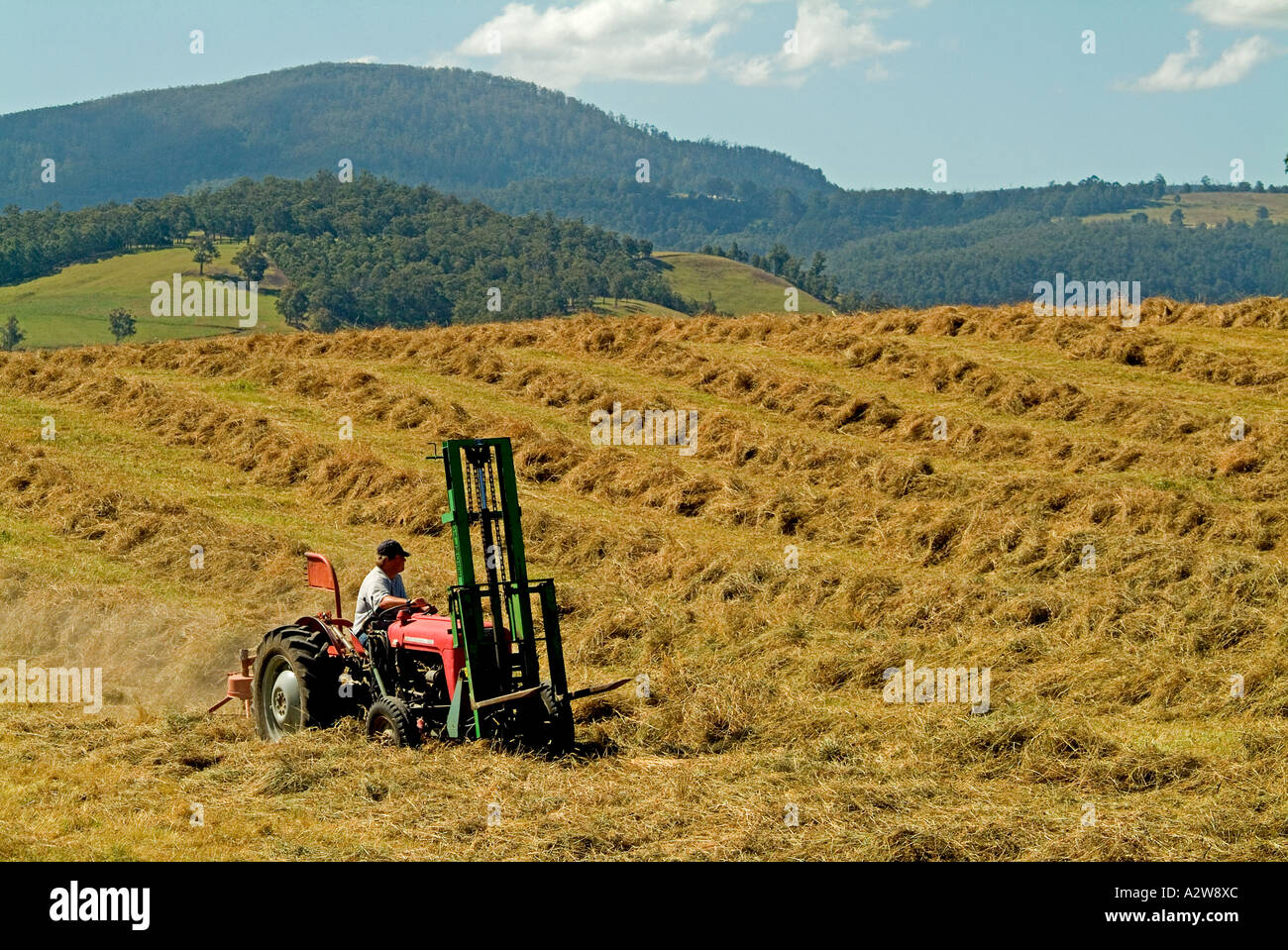 Le fauchage du foin dans la vallée Huon Tasmanie Banque D'Images