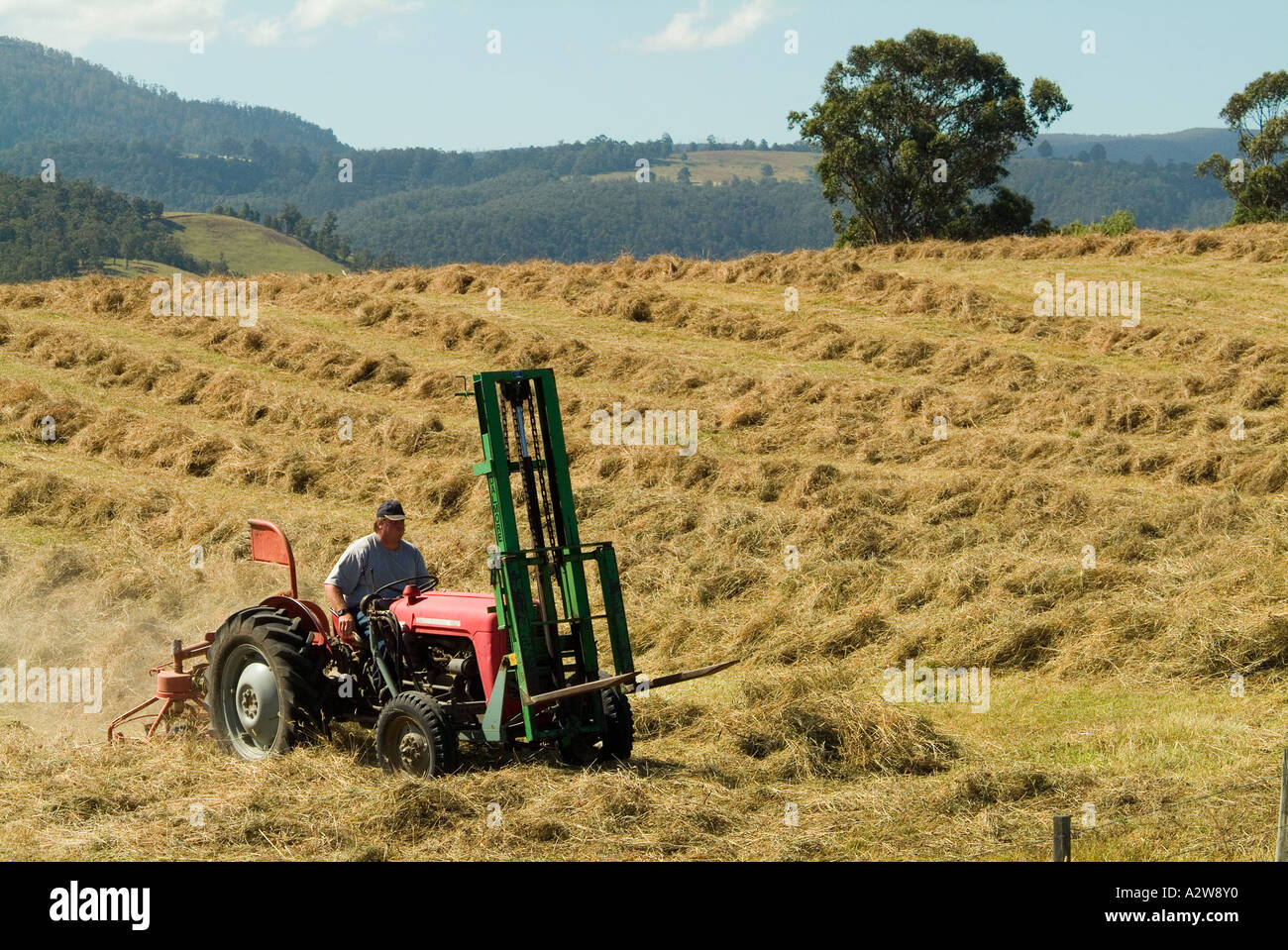 Le fauchage du foin dans la vallée Huon Tasmanie Banque D'Images
