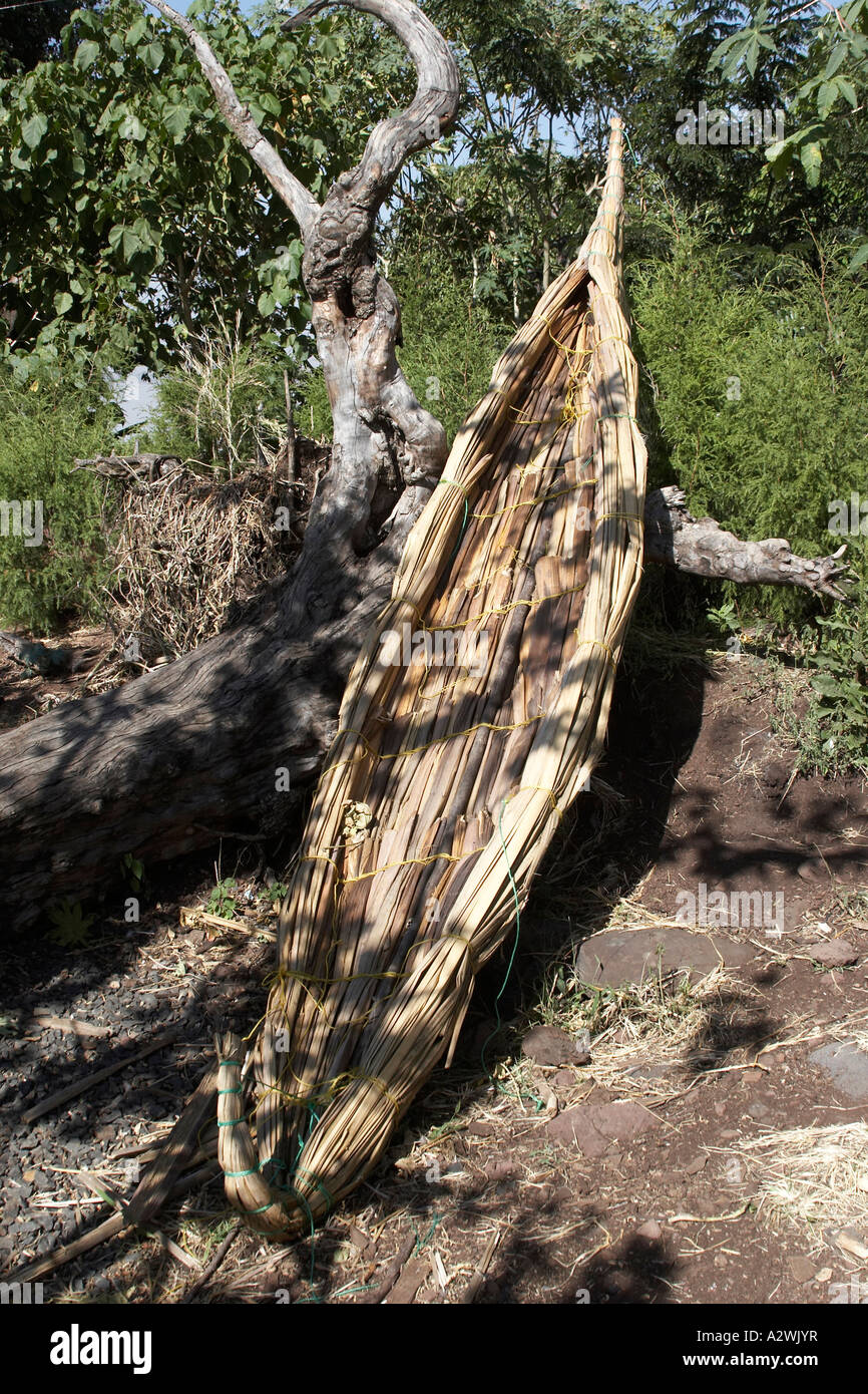 Papyrus Tankwas reed voile kayak ou canot sur le lac Tana près de Bahir Dar ou Bahar Dar Ethiopie Afrique Banque D'Images