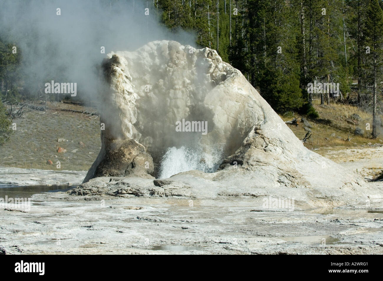Castle Geyser, Upper Geyser Basin, Parc National de Yellowstone, Wyoming, USA Banque D'Images