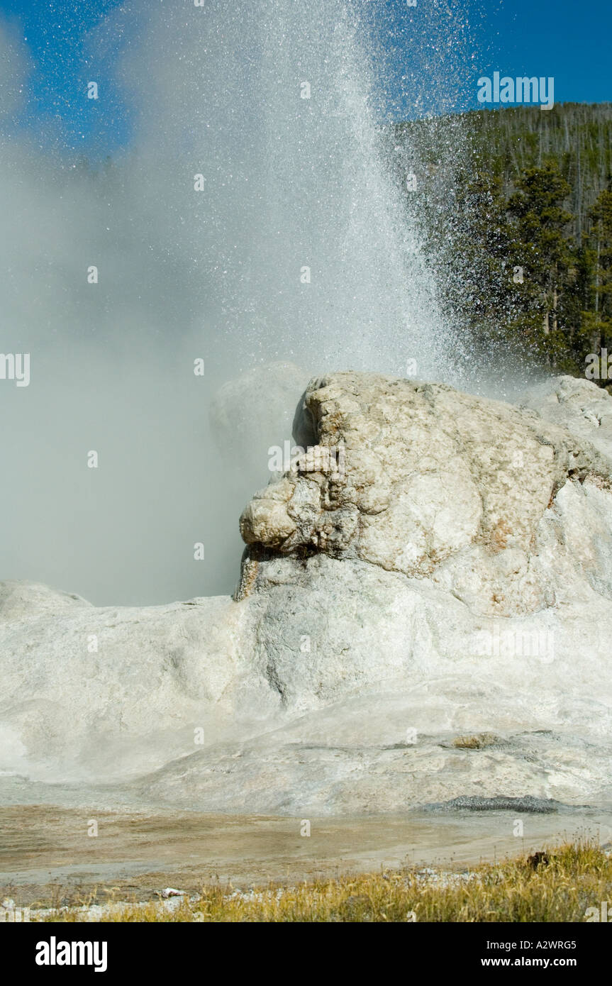 Castle Geyser, Upper Geyser Basin, Parc National de Yellowstone, Wyoming, USA Banque D'Images