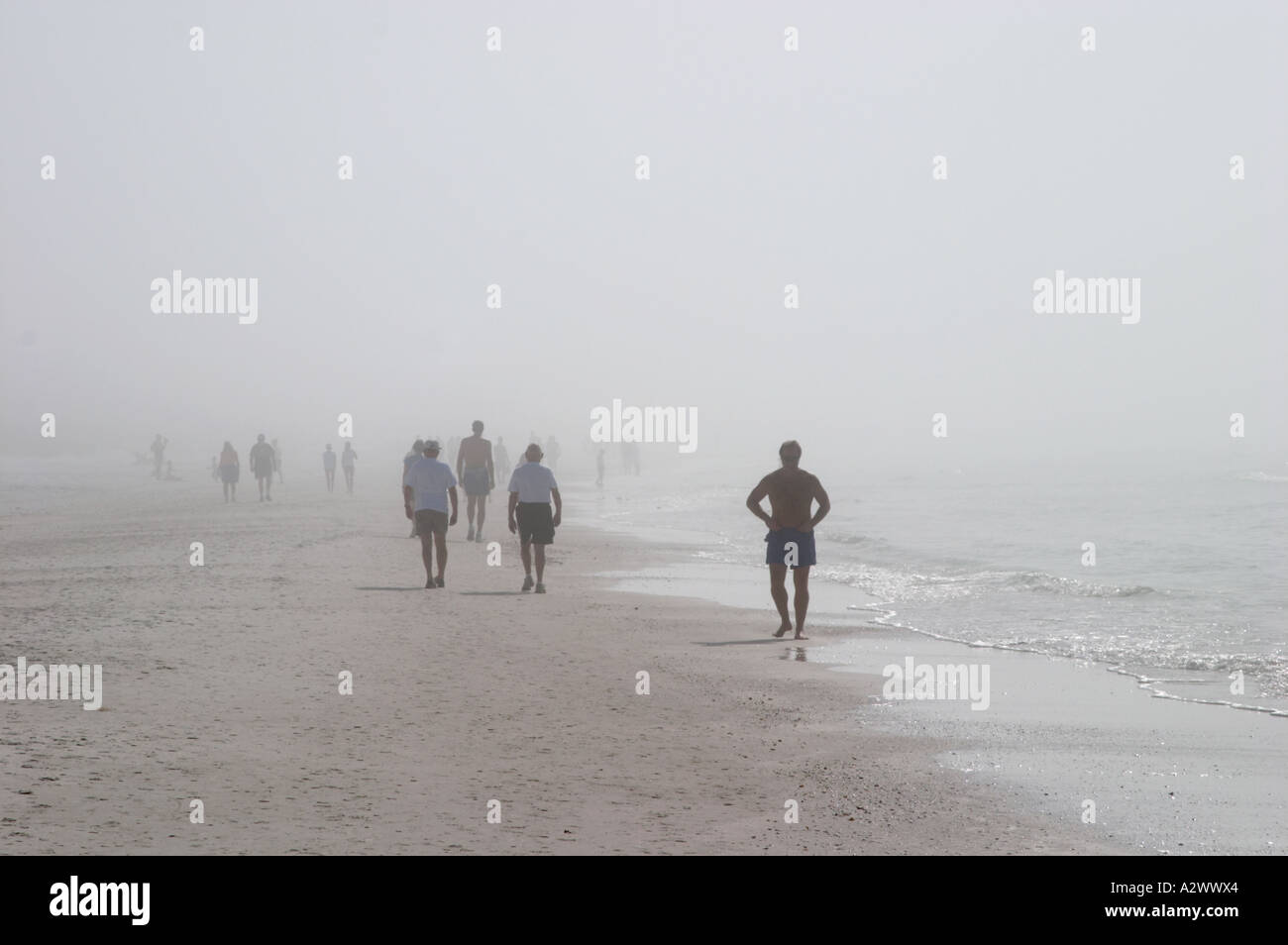 Les gens qui marchent sur la plage sur Matin brumeux sur Siesta Key Beach sur SIESTA KEY DANS LE SUD-OUEST DE LA FLORIDE Banque D'Images Les gens qui marchent sur la plage sur Matin brumeux sur Siesta Key Beach sur SIESTA KEY DANS LE SUD-OUEST DE LA FLORIDE Banque D'Images