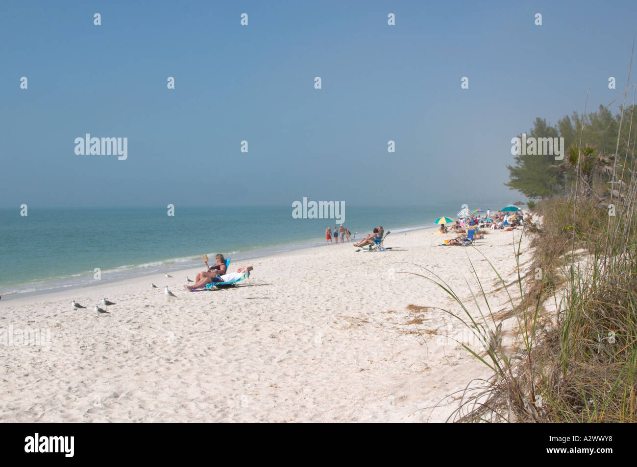 TURTLE BEACH SUR SIESTA KEY DANS LE SUD-OUEST DE LA FLORIDE Banque D'Images TURTLE BEACH SUR SIESTA KEY DANS LE SUD-OUEST DE LA FLORIDE Banque D'Images