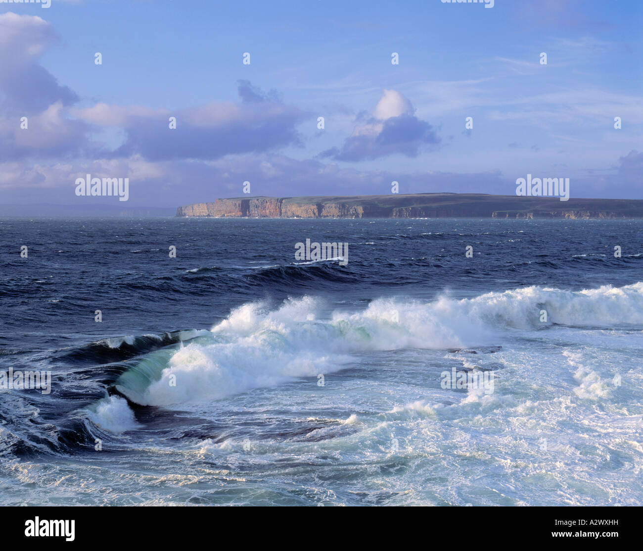 Go HIGHLAND ECOSSE DUNNET HEAD Banque D'Images