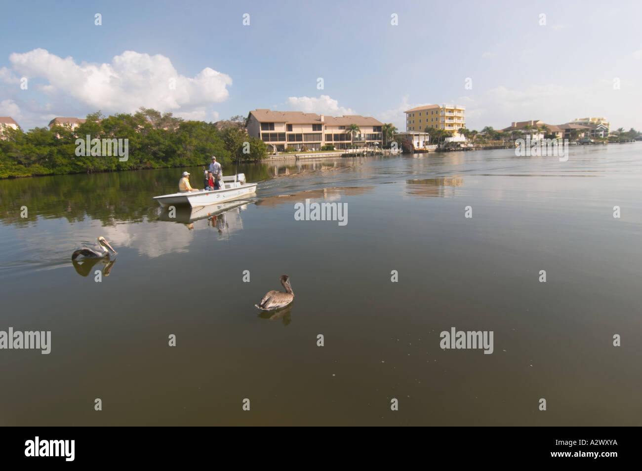 BLIND PASS LAGON OU TURTLE BEACH LAGOON SUR SIESTA KEY EN FLORIDE du Sud-Ouest Banque D'Images BLIND PASS LAGON OU TURTLE BEACH LAGOON SUR SIESTA KEY EN FLORIDE du Sud-Ouest Banque D'Images