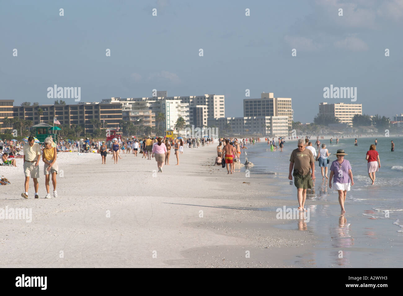 SIESTA KEY PUBLIC BEACH SUR SIESTA KEY DANS LE SUD-OUEST DE LA FLORIDE Banque D'Images SIESTA KEY PUBLIC BEACH SUR SIESTA KEY DANS LE SUD-OUEST DE LA FLORIDE Banque D'Images