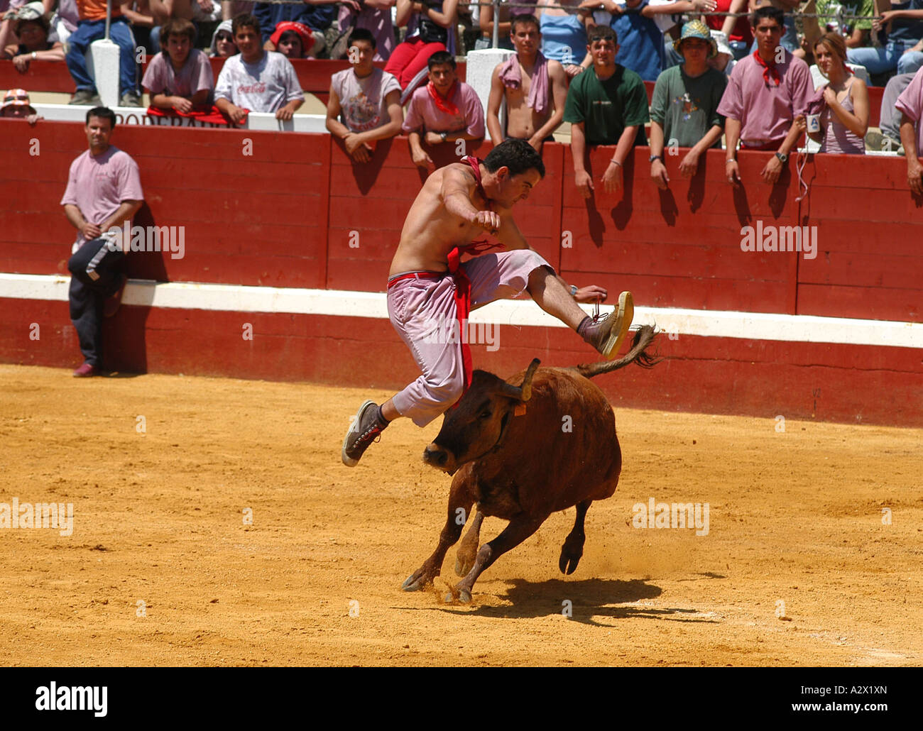 Corridas, Haro, le nord de l'Espagne, au cours de la batalla del Vino (bataille des vin rouge). Banque D'Images