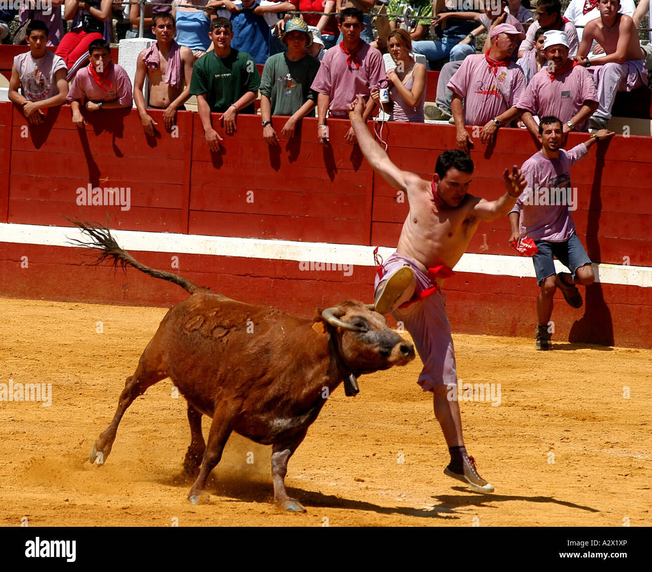 Corridas, Haro, le nord de l'Espagne, au cours de la batalla del Vino (bataille des vin rouge). Banque D'Images