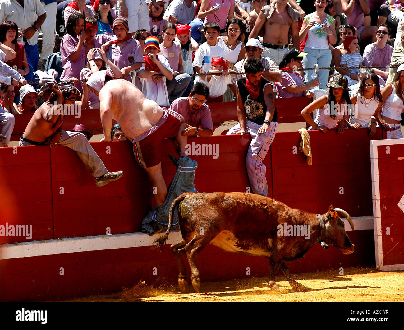 Corridas, Haro, le nord de l'Espagne, au cours de la batalla del Vino (bataille des vin rouge). Banque D'Images
