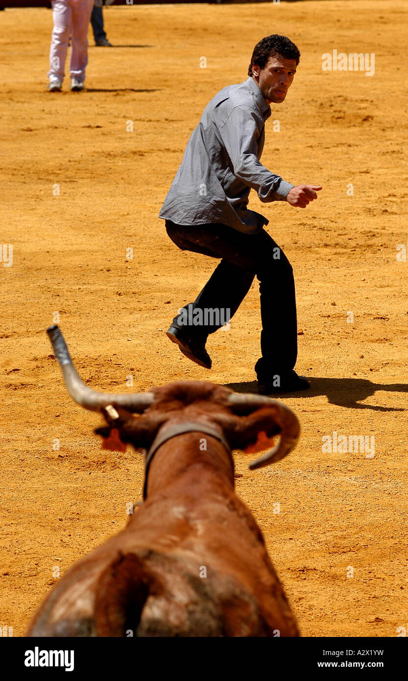 Corridas, Haro, le nord de l'Espagne, au cours de la batalla del Vino (bataille des vin rouge). Banque D'Images