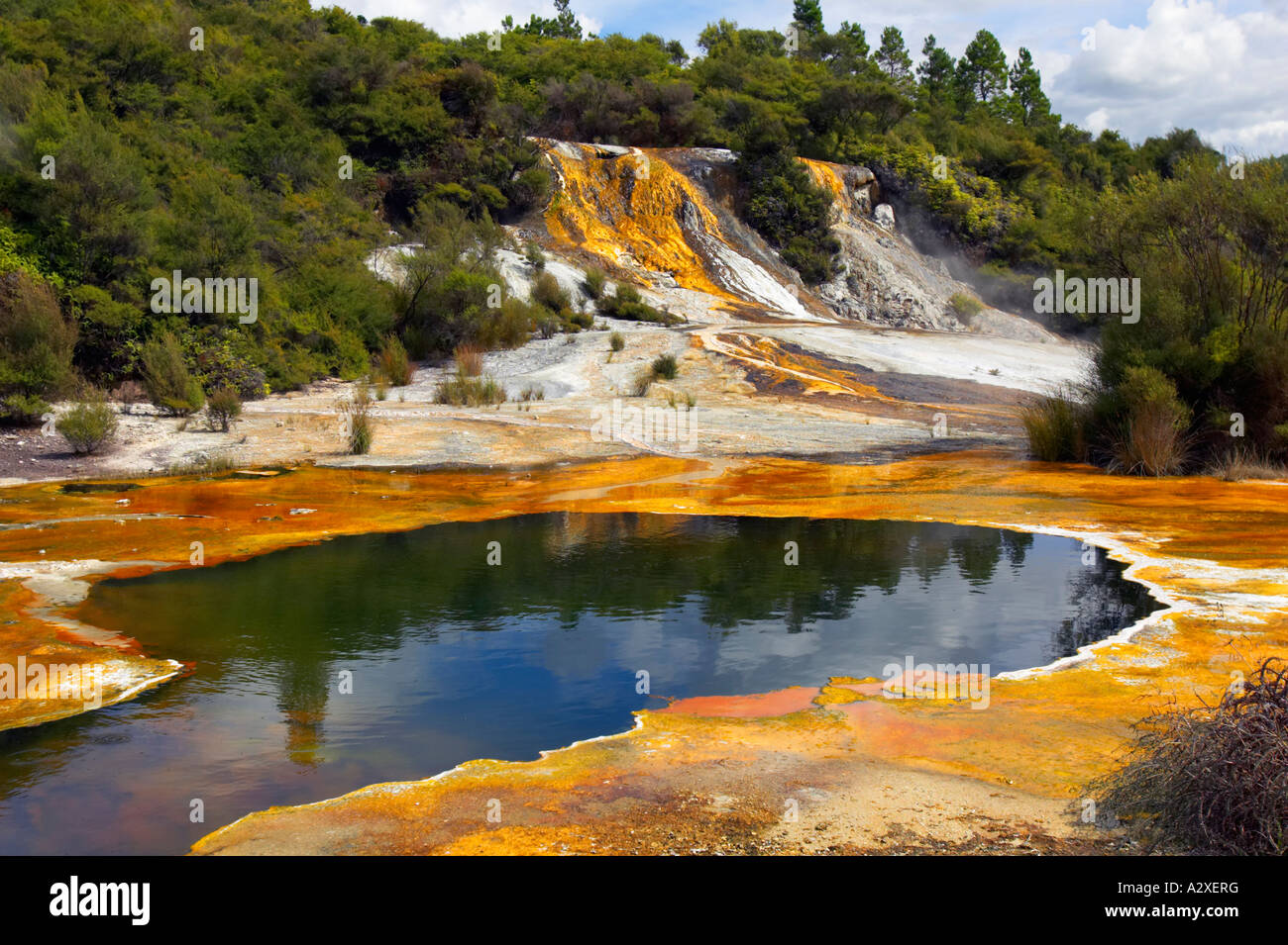 Près d'Orakei Korako Rotorua en Nouvelle Zélande Banque D'Images