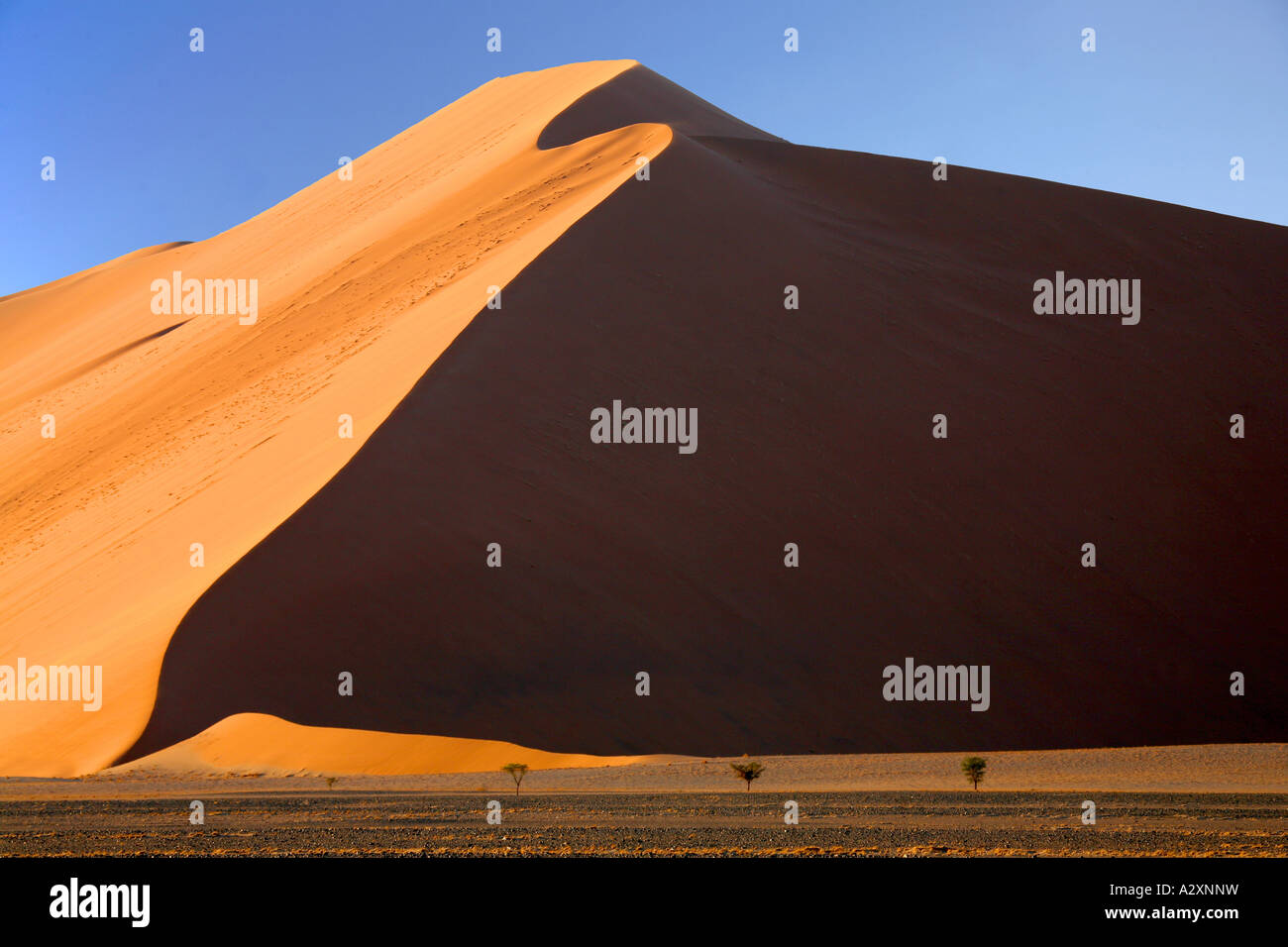 Dans les dunes du désert du Namib Namibie sossusvlei Banque D'Images