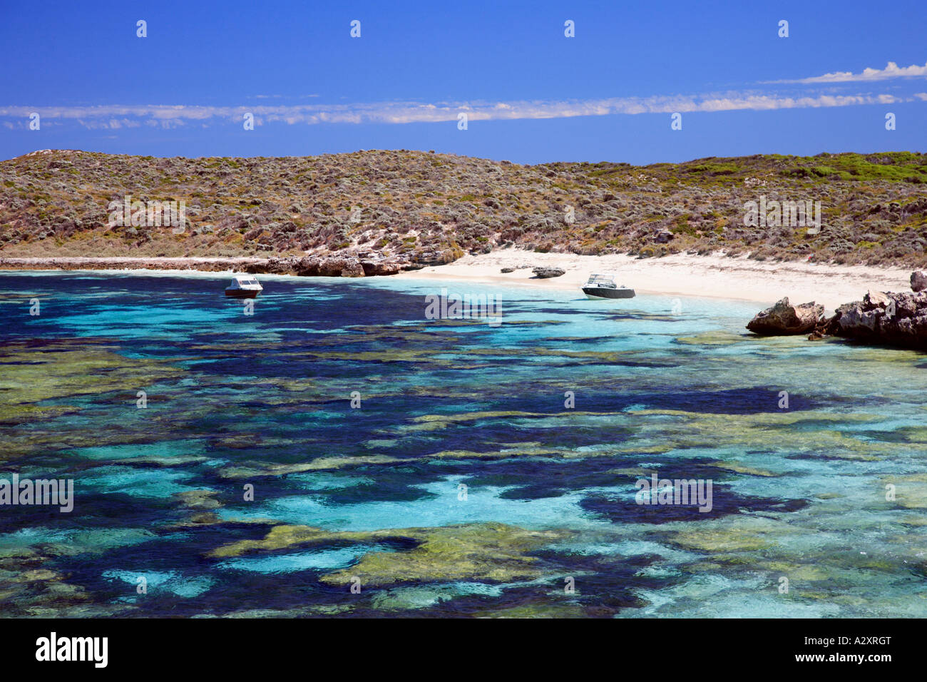 Coral Beach - Mary Cove et de Rottnest Island, Australie de l'ouest de l'Ouest près de Perth WA Banque D'Images